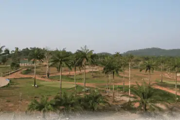 Golf View Estate View 3