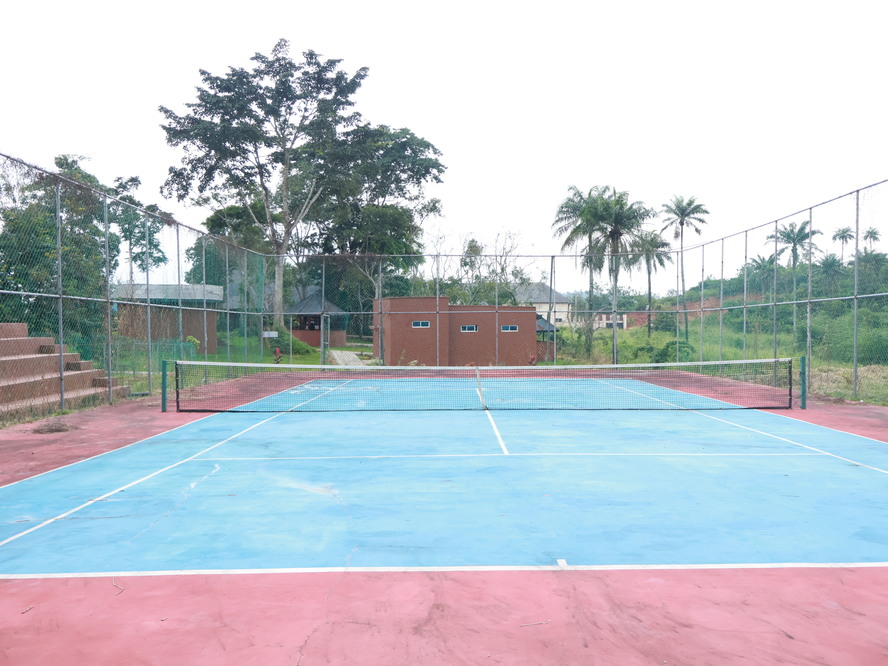 Lawn Tennis Court