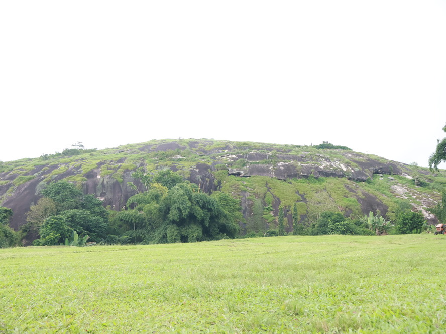 Mountain Hiking Experience (580 Steps)